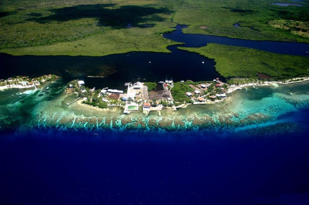 Coral View Beach Resort أوتاليا المظهر الخارجي الصورة